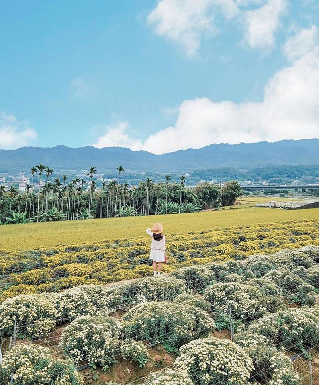 ▲圖片來源：IG@sharon_mylife813