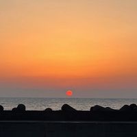 芸能人なりきりしよ！