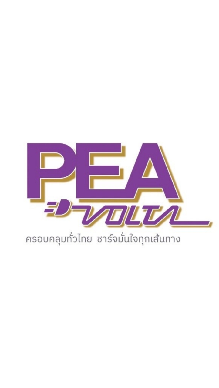 PEA VOLTA Business Team