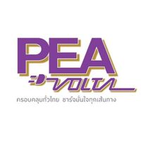 PEA VOLTA Business Team