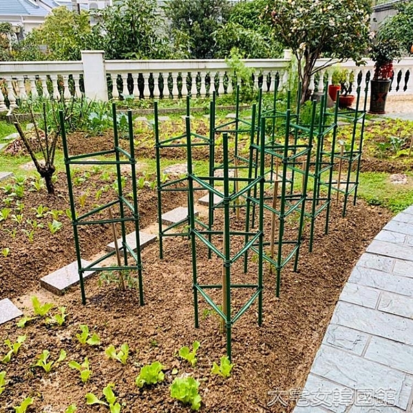西紅柿番茄攀爬支架黃瓜架爬藤植物支架茄子架豆角種菜架支柱園藝