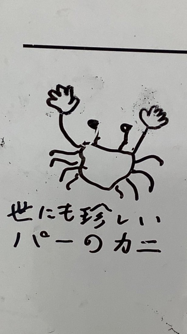 オオグンタマの貴重な産卵シーン（´◔‿ゝ◔'）