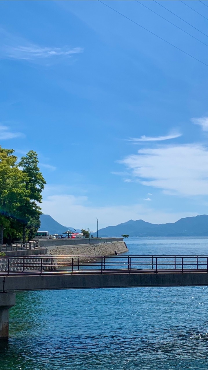 兵庫の釣り超初心者の為の部屋🎣