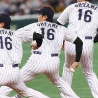 2024櫻花聯盟隼鷹棒球隊