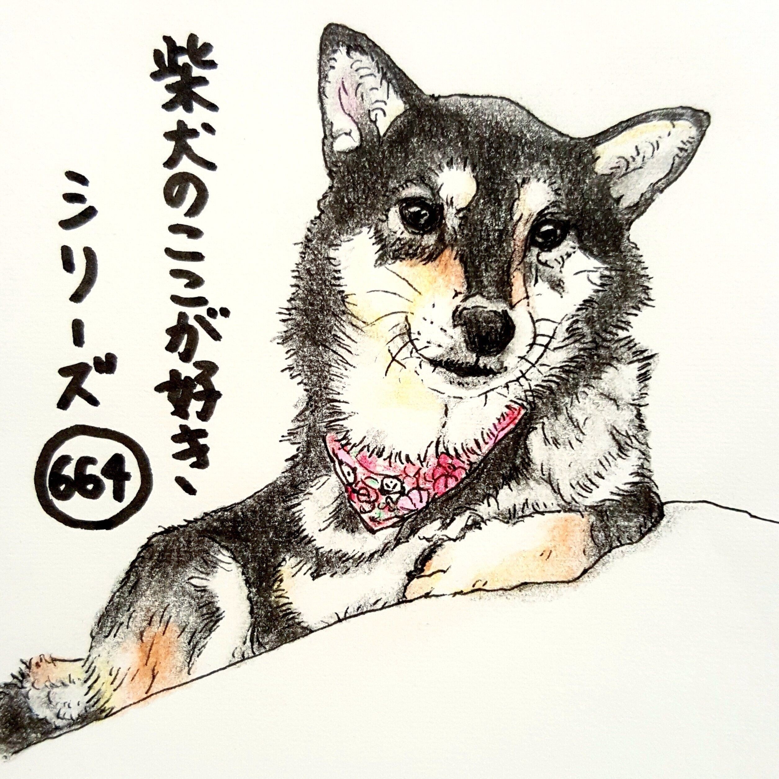 柴犬 すごく頼りになる雰囲気 を出してきませんか