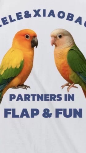 鸚鵡翱翔天際交流群🦜