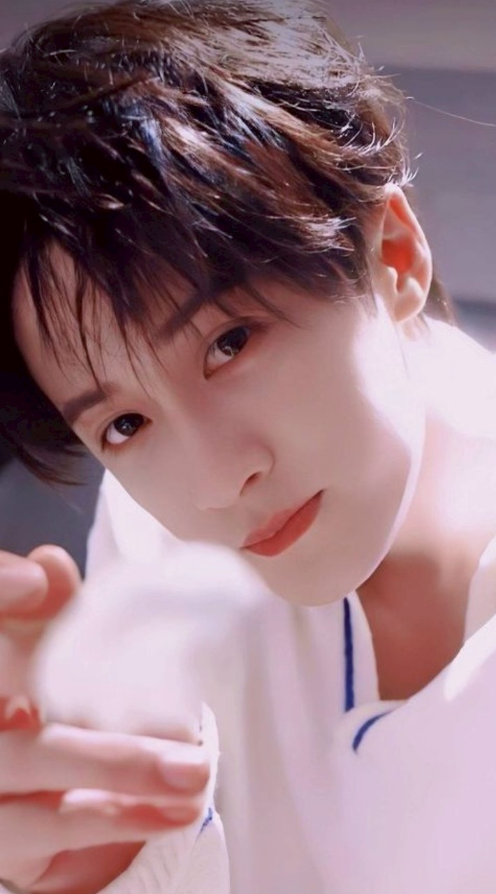 ୨୧ ⸝⸝⸝⸝ 🪻月 光 流 瑾 閣 🍀 °ஂ