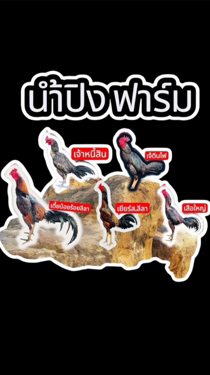น้ำปิง ฟาร์ม