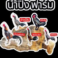 น้ำปิง ฟาร์ม