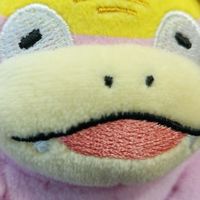 イムテララ教！！