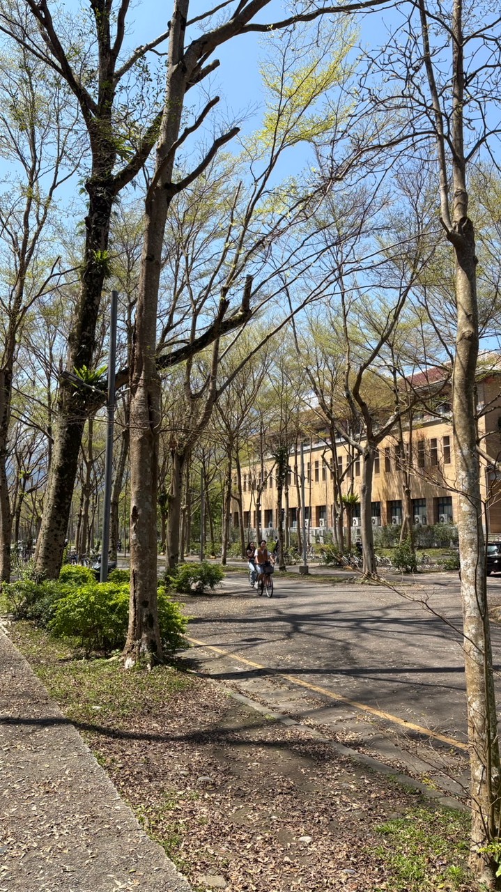 東華表單互相增加樣本數互助群