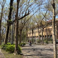 東華表單互相增加樣本數互助群