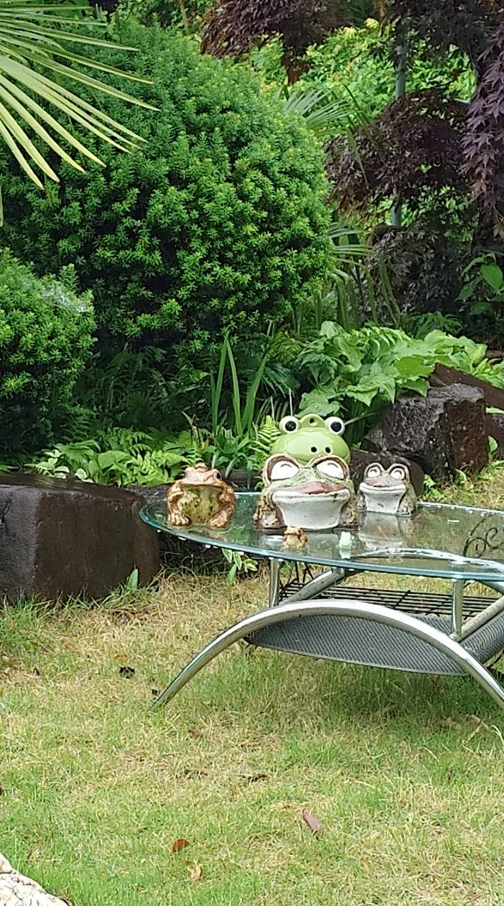 心が寂しい時、傷ついた時、羽根を休める為のお部屋💫　ヤドリギ