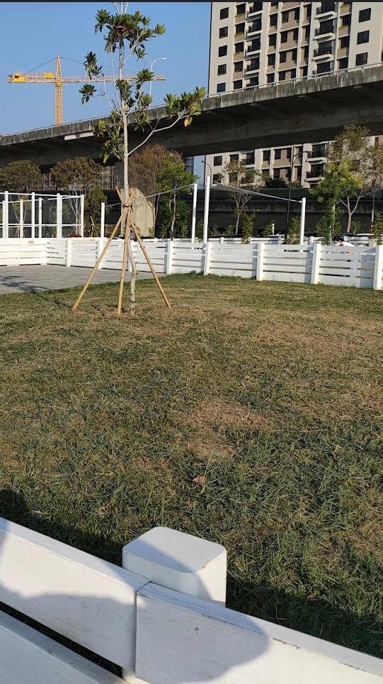 馬卡龍寵物公園 🐈‍⬛