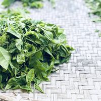 鳳凰茶會🍀有機茶資訊、活動資訊