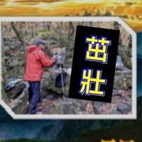 股市火力旺🔥APP(茁壯群)