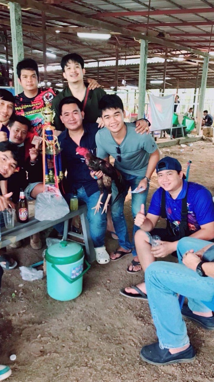 ส.แสนจันทร์ ไก่ชนพัฒนา