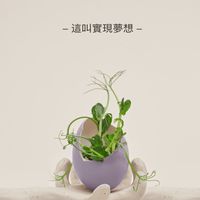 NAS. A生活圈
