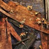 [廃墟Walk]　主に『廃』について語ったり写真を貼る所