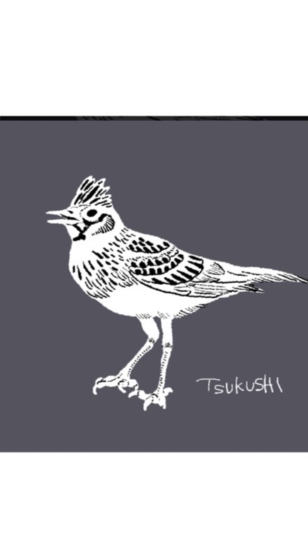 恵庭幼稚園　ひばり組