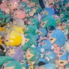 初音ミク写真館