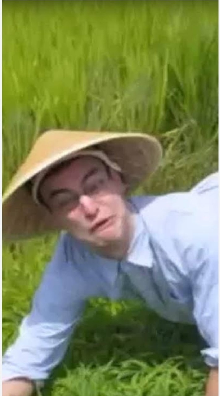 welcome to the rice field