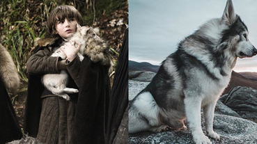 大家都愛過牠！《權力遊戲》冰原狼「狗狗演員」去世，救過布蘭史塔克不只一次！