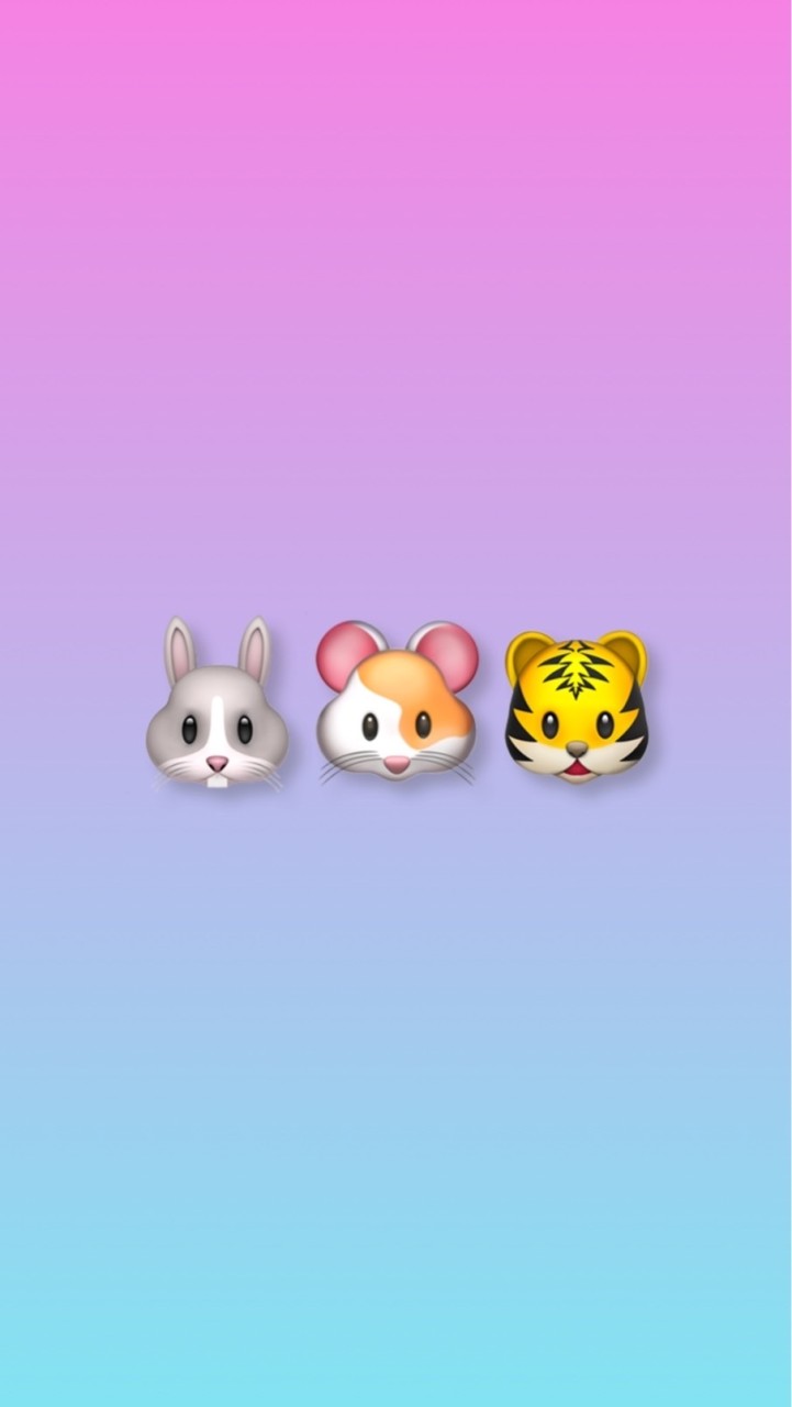 🐰🐹🐯