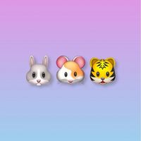 🐰🐹🐯