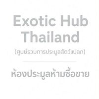 Exotic Hub Thailand (ศูนย์รวมการประมูลสัตว์แปลก)