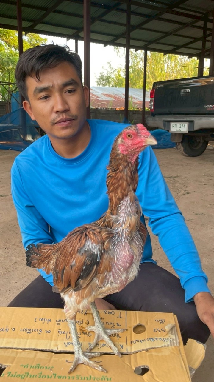 ผู้จัดการเจฟ ฟาร์ม