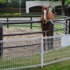 競馬座談会