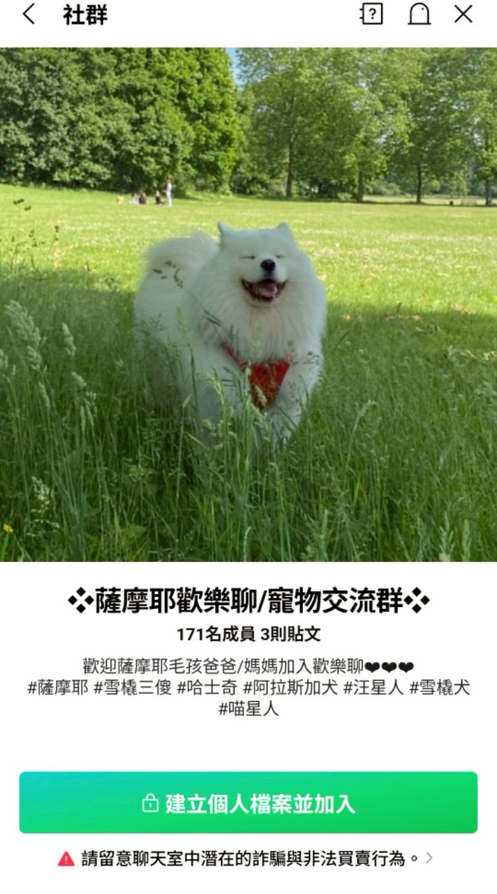 薩摩耶群組是低能兒笑死真是沒腦子群長🤪