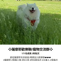 薩摩耶群組是低能兒笑死真是沒腦子群長🤪