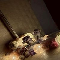 中高生で話そ！ 雑談 ゲーム 相談 皆で仲良く！