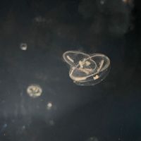 病み期来たり、嫌な過去ある人ここで吐きだそー🥺相談のるよ【学生のみ】