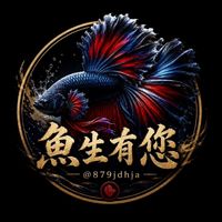 魚生有您-鬥魚、茉莉專賣