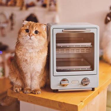 日本Toffy雙層烤箱家用烘焙多功能迷你小型電烤箱9L 220V