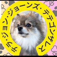 おテラの小窓🌸🐶