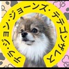 おテラの小窓🌸🐶