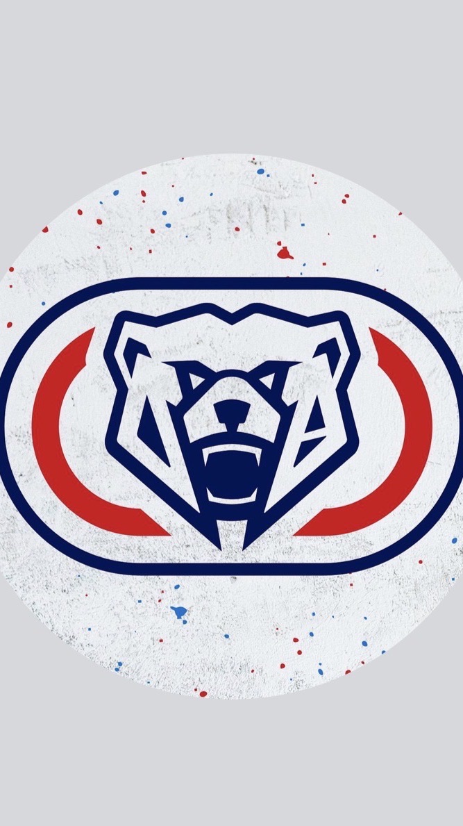Bearman銀石代購