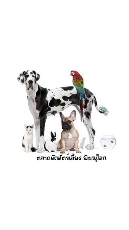 ตลาดนัดสัตว์เลี้ยง พิษณุโลก
