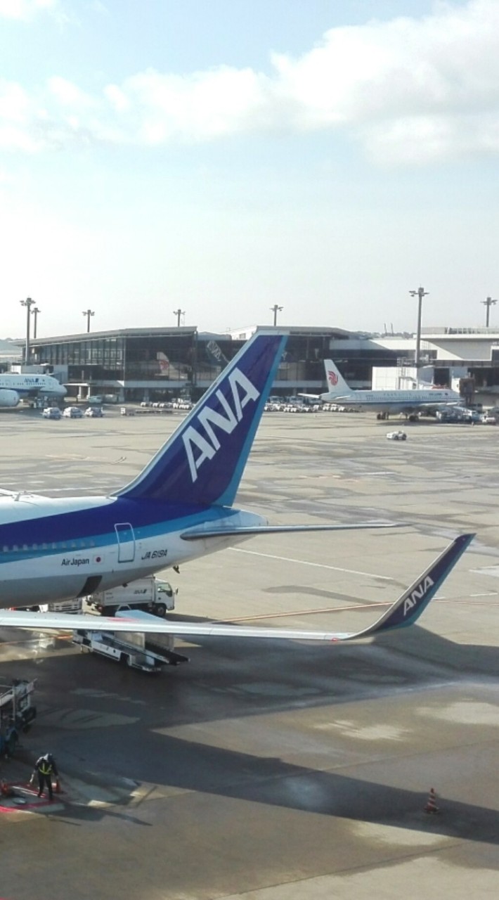 ✈️エアージャパン 客室乗務員志望✈️CREWNET