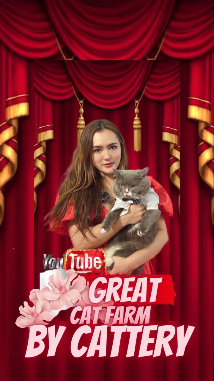 Great cat farm by cattery