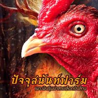 ปัจจุสนันท์ฟาร์ม