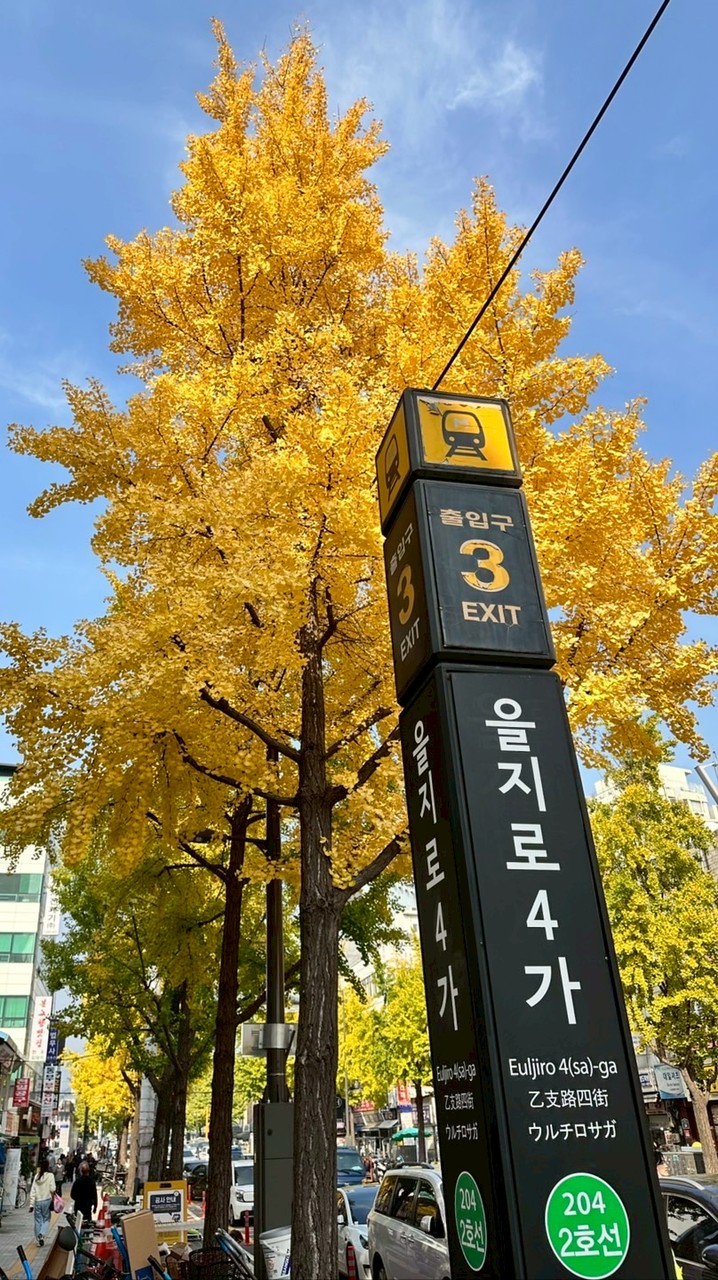 🇰🇷羅詩親飛韓國連線代購