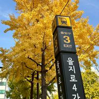 🇰🇷羅詩親飛韓國連線代購