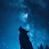 🐺眠らない森の人狼達🐺🖤