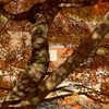 お悩み相談室
