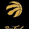 NBA多倫多暴龍Toronto Raptors討論群